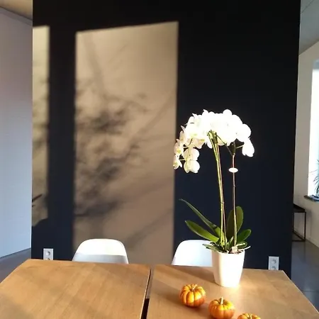 Dimensions M 住宿加早餐酒店