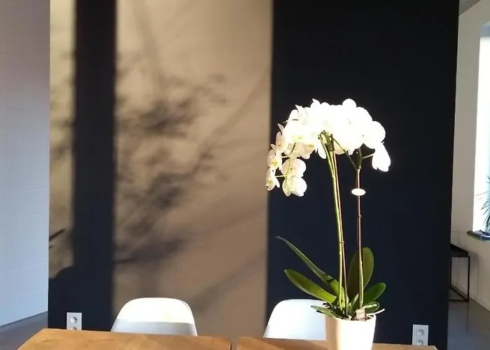 Dimensions M Alojamento de Acomodação e Pequeno-almoço